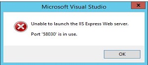 Unable to Launch the IIS Express Web Server hatası