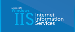 Unable to Launch the IIS Express Web Server hatası